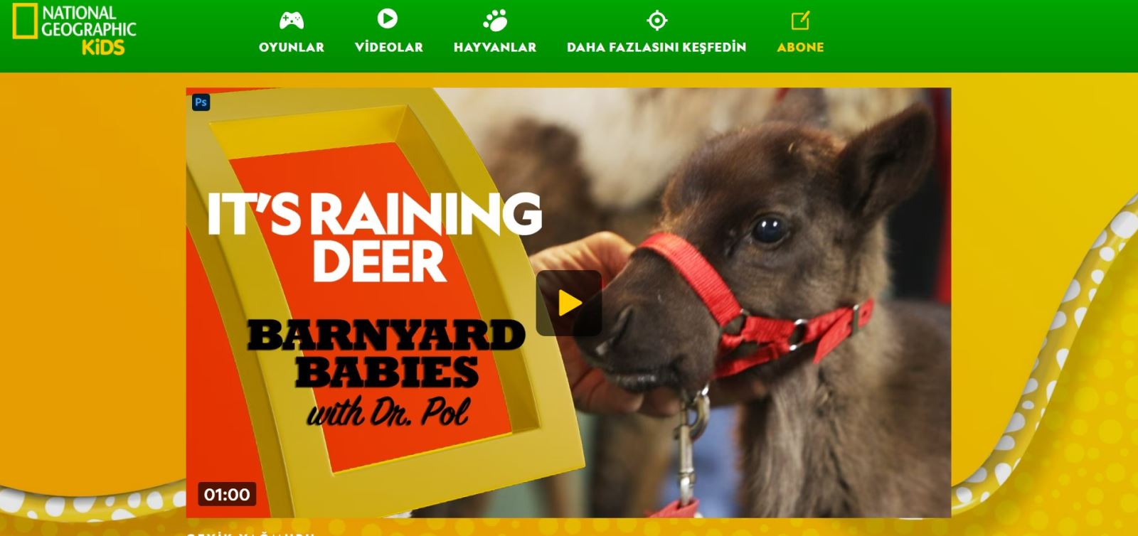 National Geographic Kids Görseli